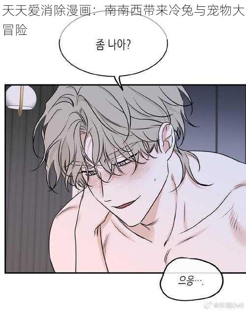 天天爱消除漫画:南南西带来冷兔与宠物大冒险